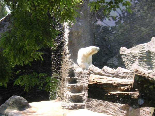 Školní výlet do Zoo Praha 2005