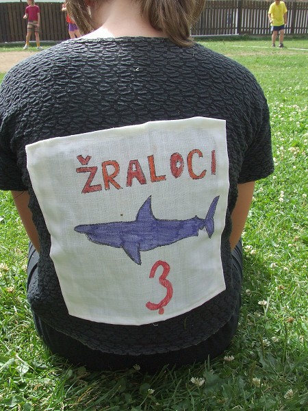 Školní turnaje červen 2006
