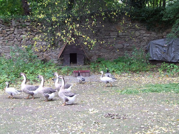 Horažďovice 1. 10. 2008