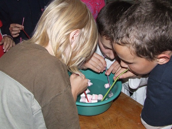 Halloween 27. 10. 2009