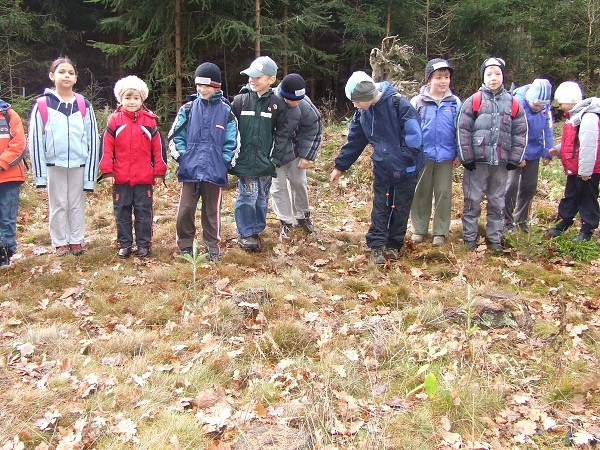 Lesní pedagogika 2. roč. 21. 11. 2009