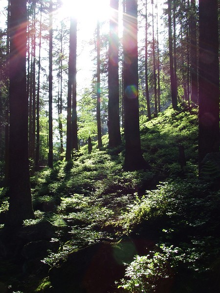 Vandr 5. ročníku 21. 5. 2009