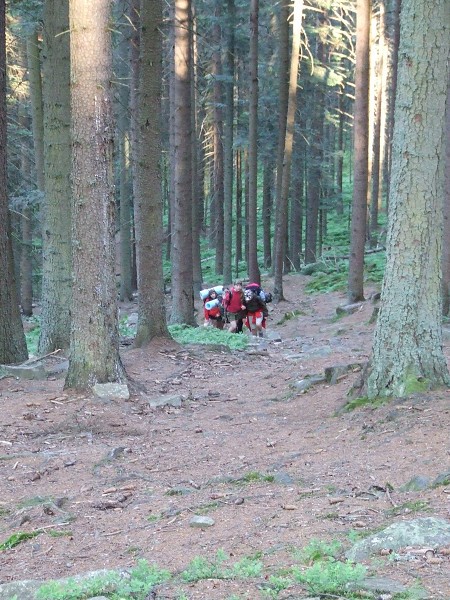 Vandr 5. ročníku 21. 5. 2009