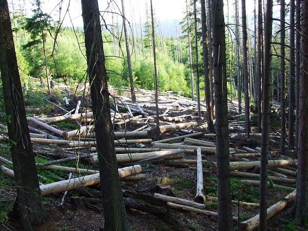 Vandr 5. ročníku 21. 5. 2009