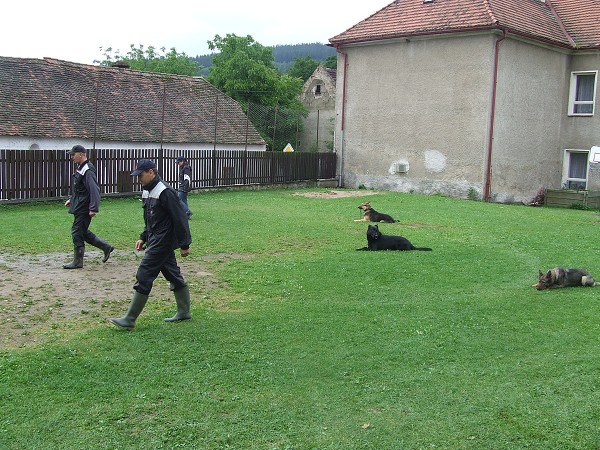 Ukázka výcviku psů 25. 6. 2009