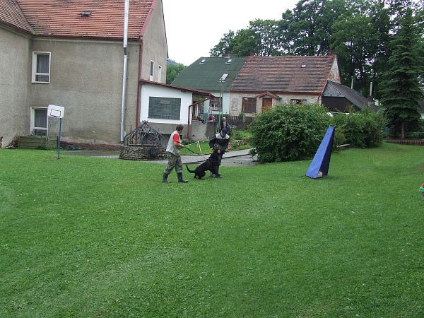 Ukázka výcviku psů 25. 6. 2009