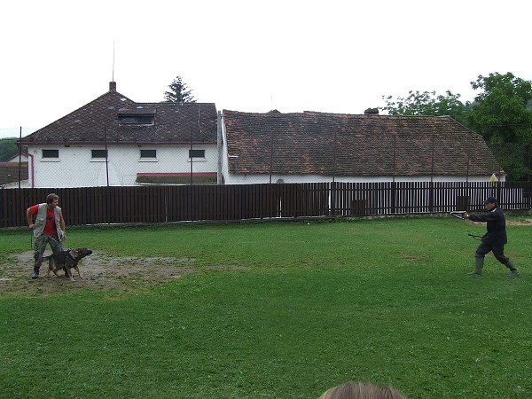 Ukázka výcviku psů 25. 6. 2009