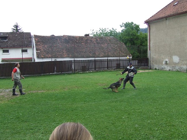 Ukázka výcviku psů 25. 6. 2009