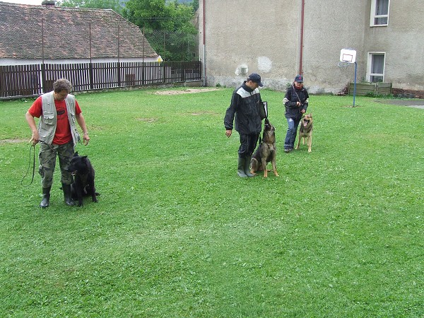Ukázka výcviku psů 25. 6. 2009