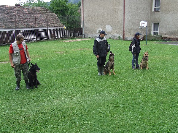 Ukázka výcviku psů 25. 6. 2009