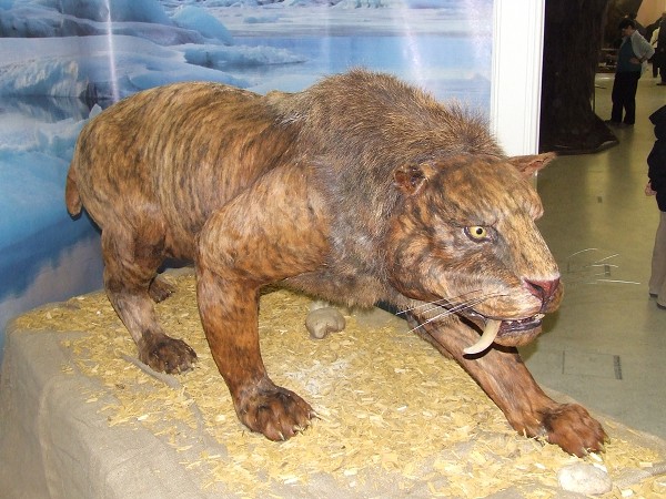 Výstava Giganti Plzeň 17. 3. 2010