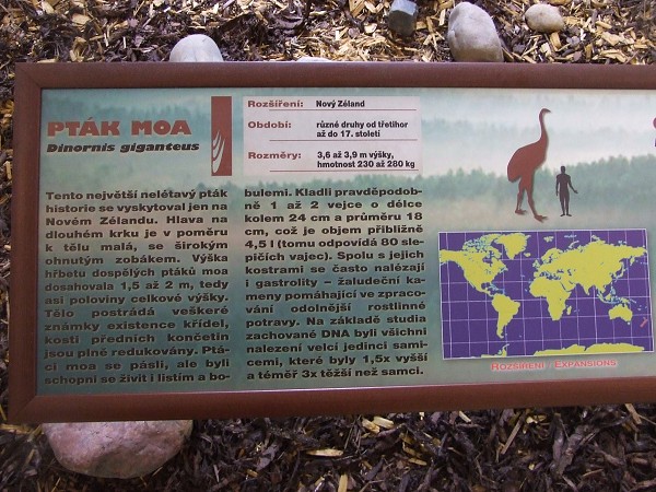 Výstava Giganti Plzeň 17. 3. 2010