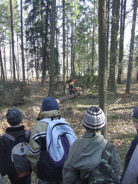 Lesní pedagogika 25. 3. 2010