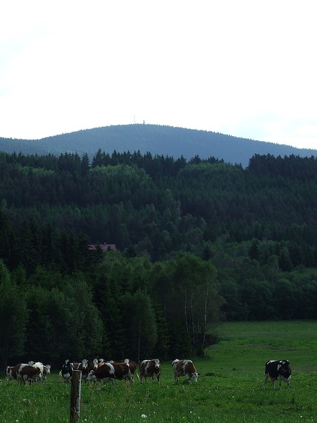 Vandr 5. ročníku 10. - 12. 6. 2010