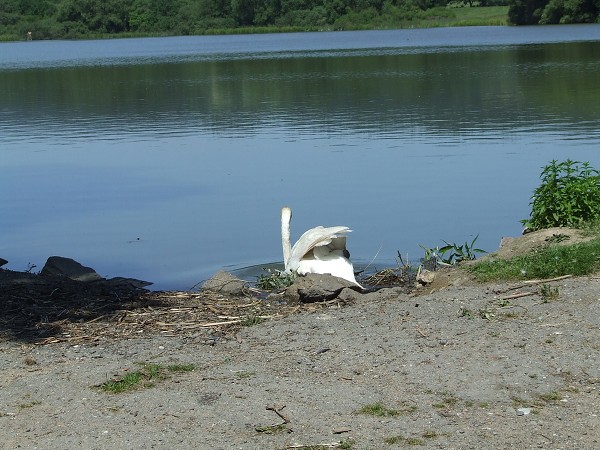 Cyklistický den 28. 6. 2011