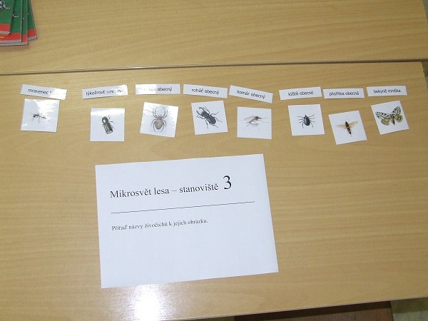 Projektový den Les 29. 9. 2011