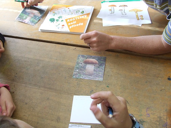 Projektový den Les 29. 9. 2011