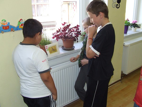 Projektový den Les 29. 9. 2011