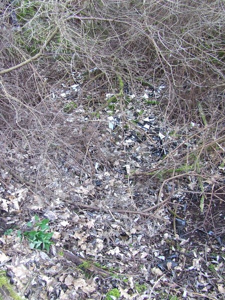 Den Země 27. 4. 2012