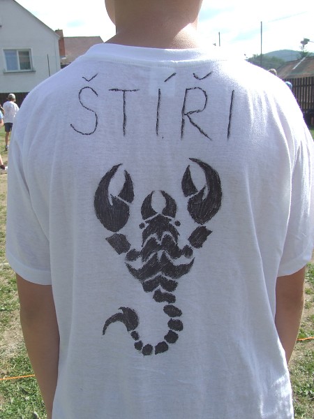 Turnaj ve vybíjené 26. 6. 2012