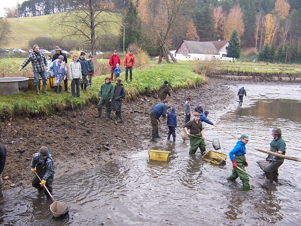 Dětský výlov v Divišově 4. 11. 2012