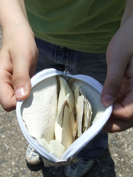 Dětský den 3. 6. 2014