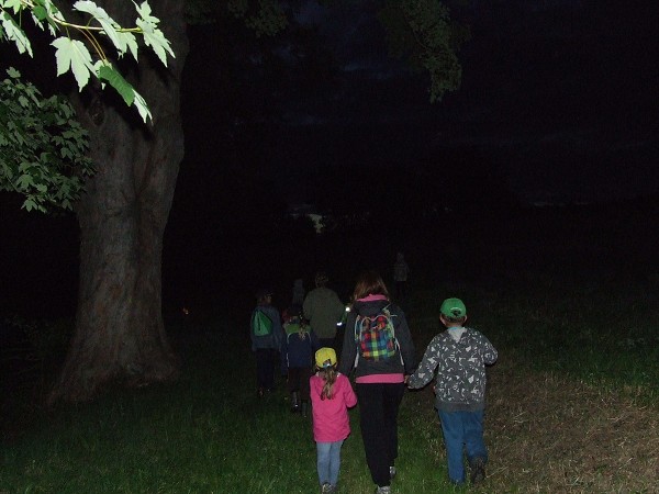 Pohádková noc 20. 6. 2014