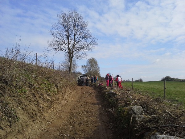 Sázení jabloní 11. 4. 2014
