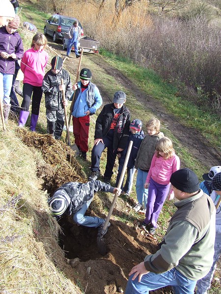 Výsadba jabloní 4. 11. 2013