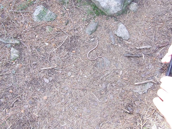 Vandr 5. ročníku 13. - 14. 6. 2015