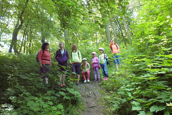 Školní výlet - podél Otavy 17. 6. 2015