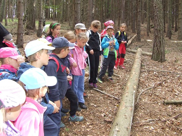 Lesní pedagogika 18. 9. 2015