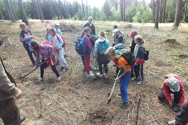 Lesní pedagogika 18. 9. 2015