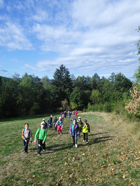 Lesní pedagogika 18. 9. 2015