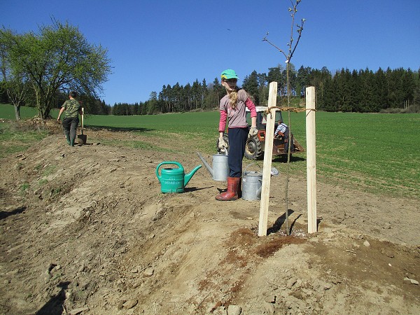 Sázení stromů 10. 4. 2017