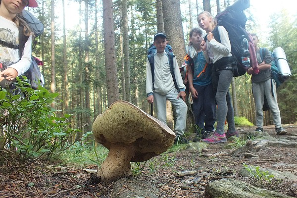 Vandr 5. ročníku 14. - 16. 6. 2018