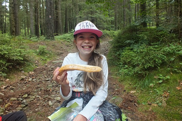 Vandr 5. ročníku 14. - 16. 6. 2018