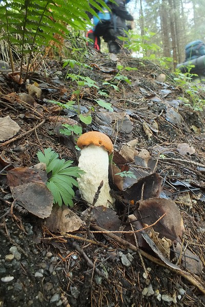 Vandr 5. ročníku 14. - 16. 6. 2018