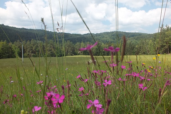 Vandr 5. ročníku 14. - 16. 6. 2018